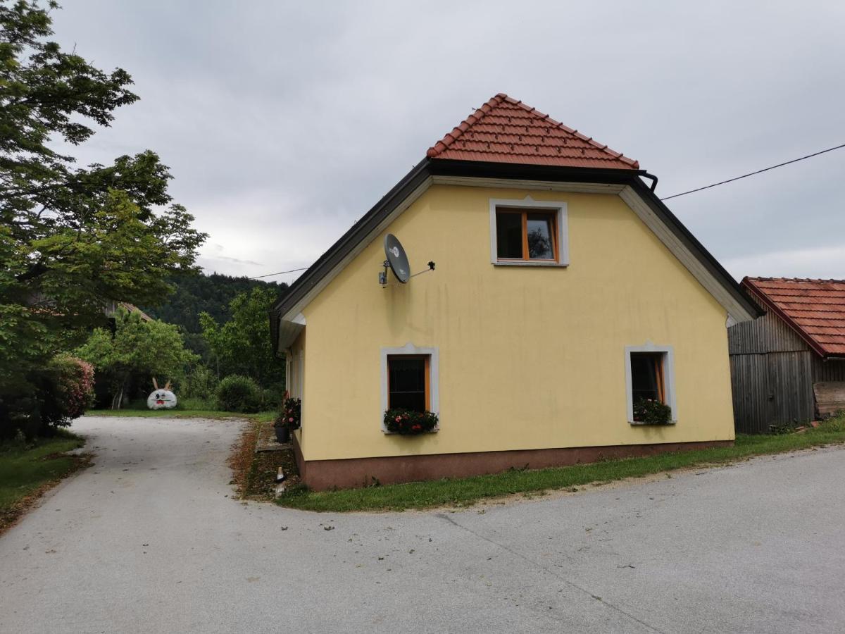 Malina Appartement Vransko Buitenkant foto